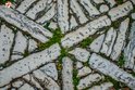 Street stone mosaic in Rovinj